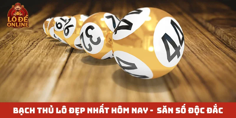 Bạch thủ lô đẹp nhất hôm nay