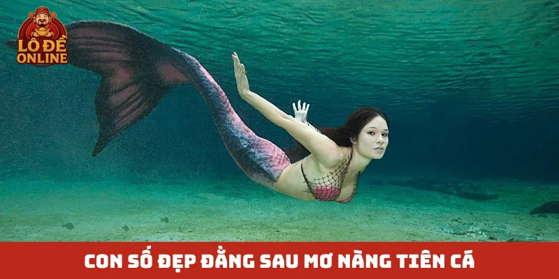 Con số đẹp đằng sau mơ nàng tiên cá