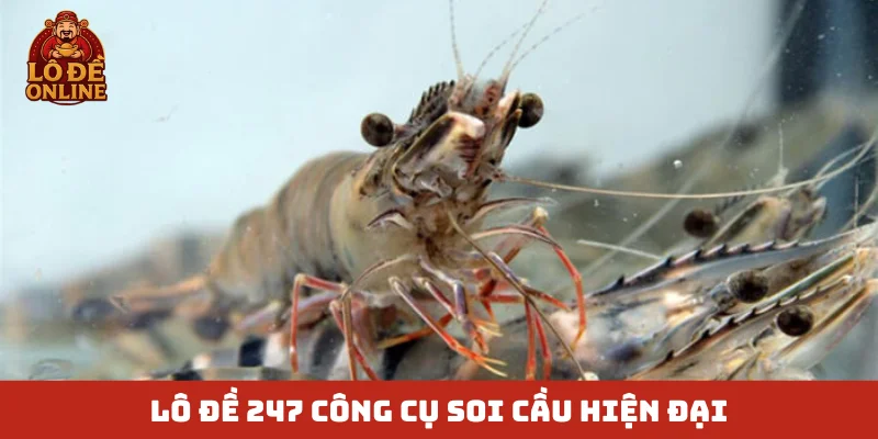Lô Đề 247 công cụ soi cầu hiện đại
