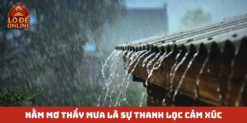 Nằm mơ thấy mưa là sự thanh lọc cảm xúc