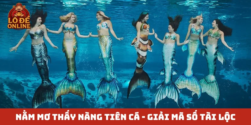 Nằm mơ thấy nàng tiên cá