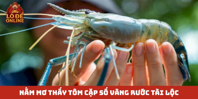 Nằm mơ thấy tôm cặp số vàng rước tài lộc