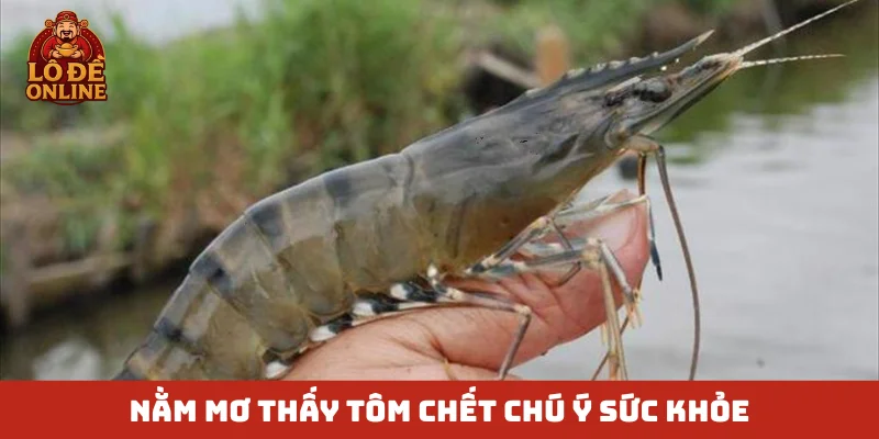 Nằm mơ thấy tôm chết chú ý sức khỏe