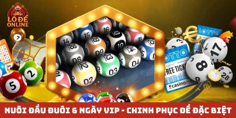 Nuôi đầu đuôi 6 ngày VIP