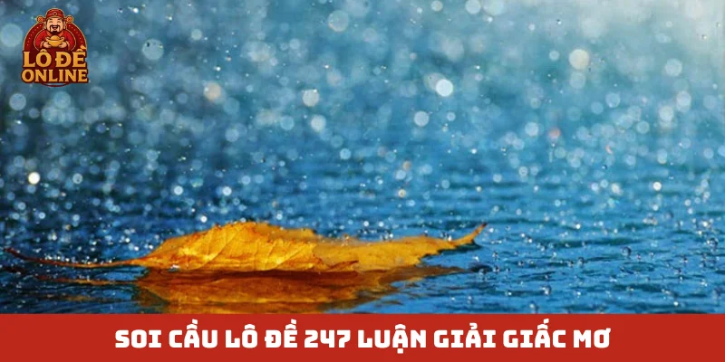 Soi cầu Lô Đề 247 luận giải giấc mơ