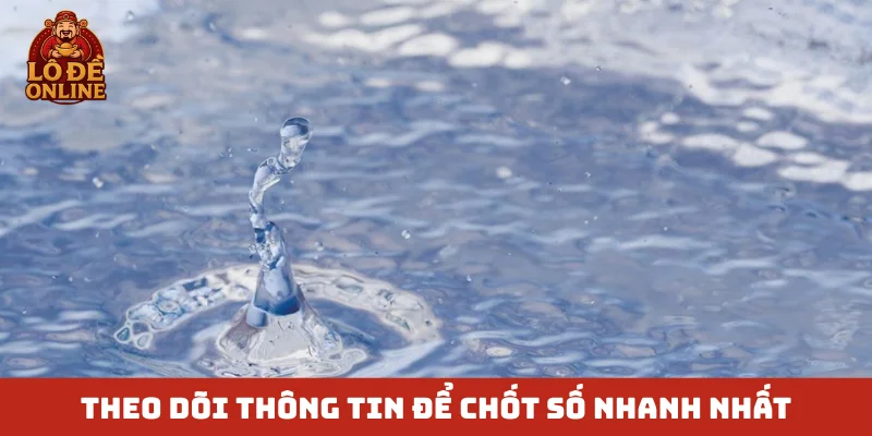 Theo dõi thông tin để chốt số nhanh nhất